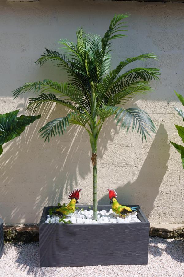 L'Escale Tropicale, Appartement Independant Avec Terrasse Privative Saint-Quentin  Luaran gambar